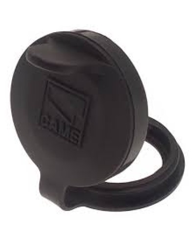 Защита целиндра замка A4366 Came 119RIA051 в Йошкар-Оле Запчасти для шлагбаумов и автоматики Pintop.ru