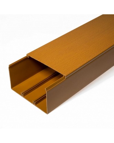 Кабель-канал бук 2-й замок 100х60 (16м/уп) Промрукав (PR.025447) в Йошкар-Оле Огнестойкие кабельные линии Pintop.ru