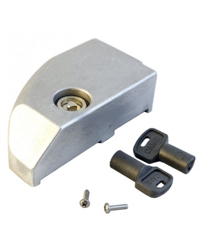 Дверца замка разблокировки BK Came 119RIBK012 в Йошкар-Оле Запчасти для шлагбаумов и автоматики Pintop.ru