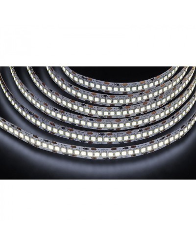 Лента светодиодная Navigator 14 459 NLS-2835CW240-24-IP20-12V в Йошкар-Оле Источники света(Лампы) Pintop.ru