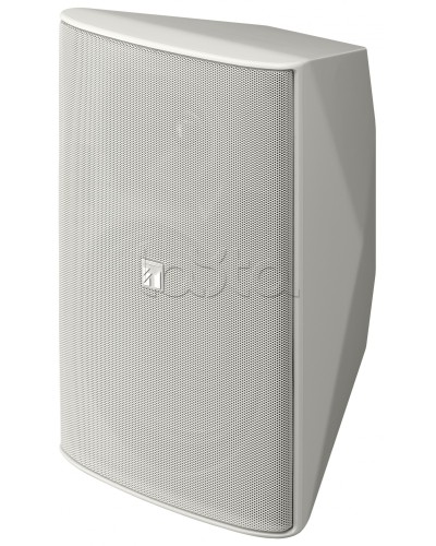 Громкоговоритель 2 полосный TOA F-2000 WTWP в Йошкар-Оле Системы оповещения и трансляции TOA Pintop.ru