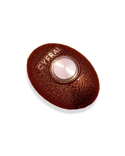 Кнопка открывания двери Цифрал КОДсП-4 в Йошкар-Оле Многоабонентные устройства Pintop.ru