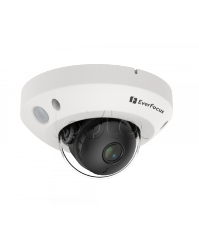 IP-камера видеонаблюдения купольная EverFocus EMN2560-SG в Йошкар-Оле IP-камеры Pintop.ru