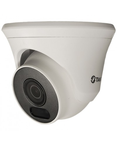 Видеокамера в купольном исполнении уличная Tantos TSc-Ee2FN в Йошкар-Оле Системы видеонаблюдения Pintop.ru