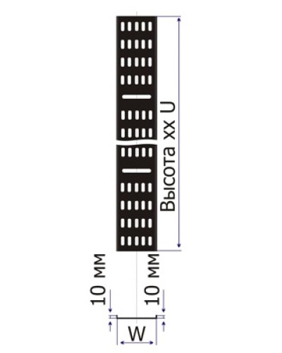 Лоток кабельный вертикальный для шкафов 21U шириной 100 мм TWT TWT-CB-CTR-21U-1 в Йошкар-Оле Кабельные лотки Pintop.ru