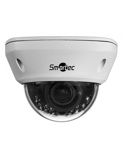 IP-камера видеонаблюдения купольная Smartec STC-IPM5591/1 в Йошкар-Оле IP-камеры Pintop.ru