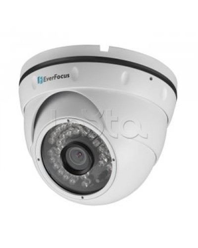 IP-камера видеонаблюдения купольная EverFocus ACE-IAV30 в Йошкар-Оле IP-камеры Pintop.ru