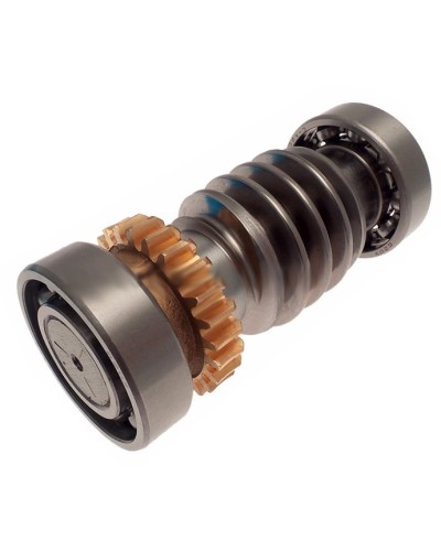 Червяк FROG Came 119RIA016 в Йошкар-Оле Запчасти для шлагбаумов и автоматики Pintop.ru