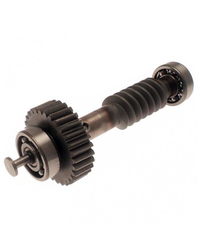 Червяк редуктора FAST в сборе Came 119RID228 в Йошкар-Оле Запчасти для шлагбаумов и автоматики Pintop.ru