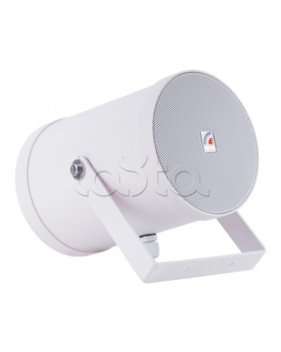 Двунаправленный Прожектор звуковой ROXTON SW-10T2 в Йошкар-Оле Система оповещения и трансляции Roxton Pintop.ru