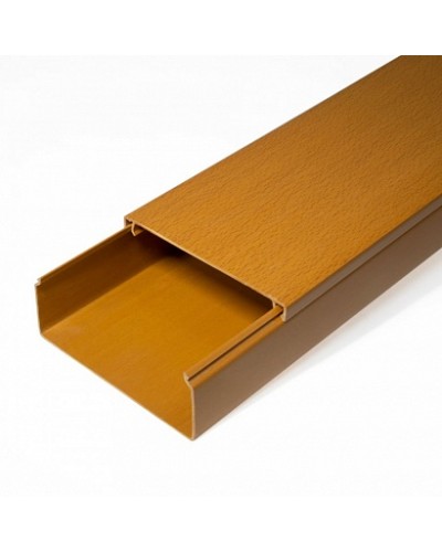 Кабель-канал бук 2-й замок в п/э 100х40 (8 м/уп) Промрукав (PR03.0206) в Йошкар-Оле Огнестойкие кабельные линии Pintop.ru