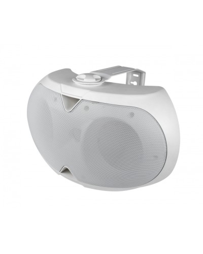 Громкоговоритель настенный 2-х полосный VOLTA ELLIPSE-2440TW в Йошкар-Оле Система оповещения и трансляции Volta Pintop.ru