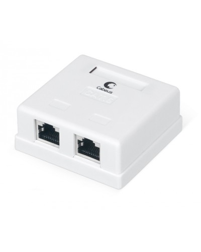 Розетка компьютерная RJ-45(8P8C), категория 6, экранированная, двойная, внешняя, Krone type Cabeus WS-8P8C-Cat.6-SH-2 в Йошкар-Оле Розетки компьютерные и телефонные Pintop.ru