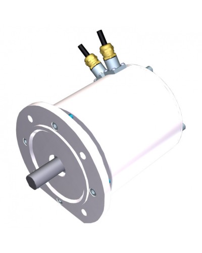 Электродвигатель FROG-MD Came 119RIA080 в Йошкар-Оле Запчасти для шлагбаумов и автоматики Pintop.ru