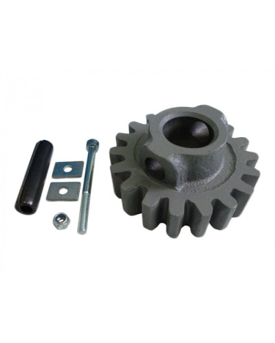 Шестерня ведущая ВК Came 119RIBK002 в Йошкар-Оле Запчасти для шлагбаумов и автоматики Pintop.ru