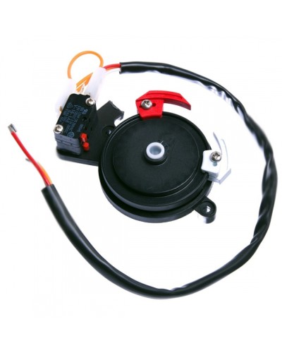 Концевые микровыключатели в сборе BX-243 Came 119RIBX041 в Йошкар-Оле Запчасти для шлагбаумов и автоматики Pintop.ru