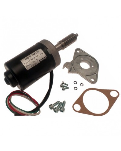 Электродвигатель BX-243 в сборе Came 119RIBX046 в Йошкар-Оле Запчасти для шлагбаумов и автоматики Pintop.ru