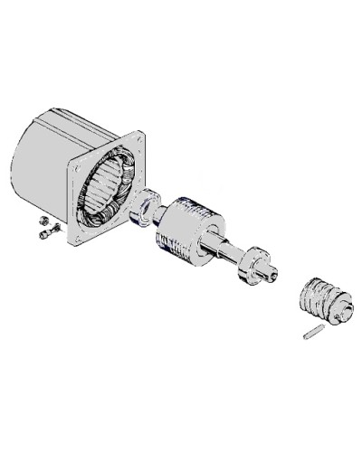 Электродвигатель С-100 Came 119RIC052 в Йошкар-Оле Запчасти для шлагбаумов и автоматики Pintop.ru