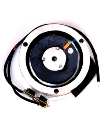 Электромагнит BY1500T Came 119RIY034 в Йошкар-Оле Запчасти для шлагбаумов и автоматики Pintop.ru