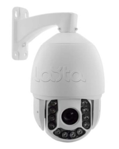 IP-камера видеонаблюдения купольная EverFocus ACE-ATE2033 в Йошкар-Оле IP-камеры Pintop.ru