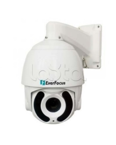 Камера видеонаблюдения поворотная купольная EverFocus EPA-6236 в Йошкар-Оле Аналоговые камеры Pintop.ru