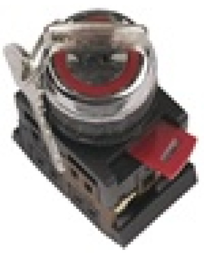 Переключатель AKS-22 с ключом на 2 фиксир.положения I-O 1з+1р черный IEK BSW10-AKS-2-K02 в Йошкар-Оле Аксессуары для стоек и шкафов Pintop.ru