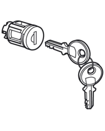 Цилиндр встроенный под ключ №405 Legrand 020291 в Йошкар-Оле Дополнительное оборудование для сетей Pintop.ru