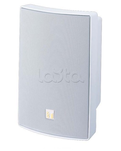 Громкоговоритель универсальный двухполосный TOA BS-1030W в Йошкар-Оле Системы оповещения и трансляции TOA Pintop.ru