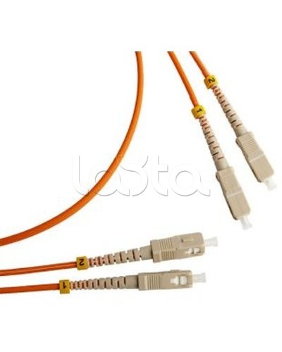 Патч-корд оптический TWT-2ST-2LC/SA-20 в Йошкар-Оле Патч-корды оптические Pintop.ru