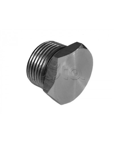 Металлическая резьбовая заглушка взрывозащищённая Магнито-контакт Ех-заглушка ВЗ 1 М Н (под Ø 20) 1Ex d IIС Gb/PB Ex d I Mb или Ex tb IIIС Db или 0Ex ia IIC Ga или 1Ex e IIС Gb в Йошкар-Оле Дополнительное оборудование (Ex) Pintop.ru