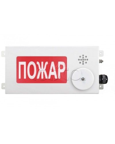 Табло светозвуковое взрывозащищенное Спектрон ТСЗВ-Exi-М-Прометей-МИНИ 12-36В в Йошкар-Оле Оповещатели Ex Pintop.ru