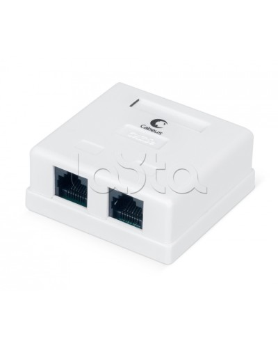 Розетка компьютерная RJ-45, категория 5e, двойная, внешняя, Dual IDC Cabeus WS-8P8C-Cat.5e-2 в Йошкар-Оле Розетки компьютерные и телефонные Pintop.ru