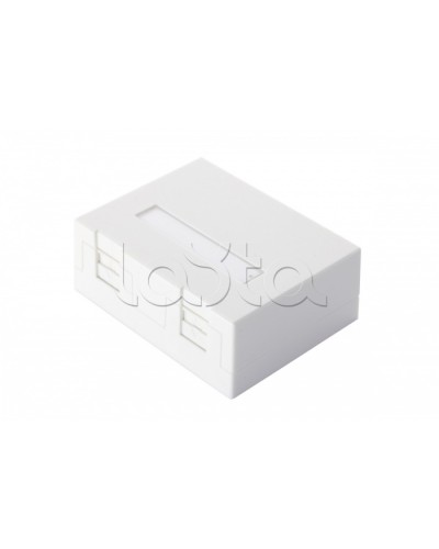 Настенная коробка 2-портовая со шторками, белый Eurolan (12B-04-02WT-2) в Йошкар-Оле Розетки компьютерные и телефонные Pintop.ru