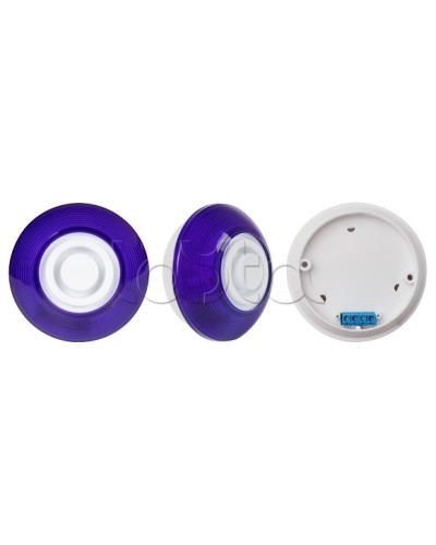 Оповещатель комбинированный SLT Марс 12-КП (строб, син) в Йошкар-Оле Оповещатели Pintop.ru