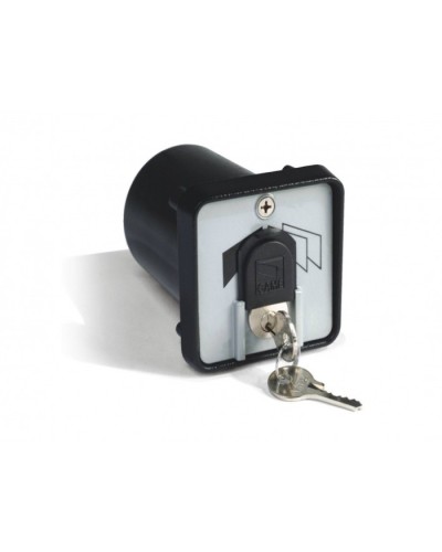 Ключ-выключатель с защитой цилиндра, встраиваемый Came 001SET-K в Йошкар-Оле Запчасти для шлагбаумов и автоматики Pintop.ru