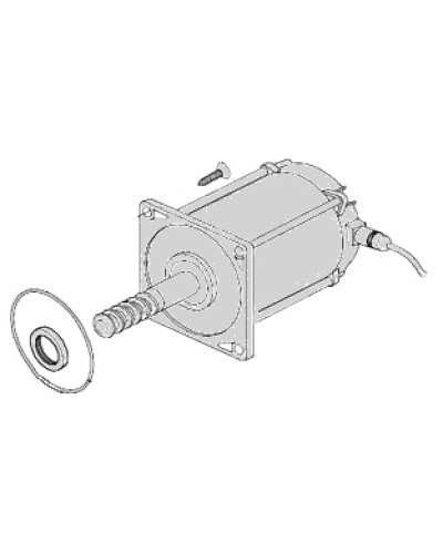 Электродвигатель Came 119RIA025 в Йошкар-Оле Запчасти для шлагбаумов и автоматики Pintop.ru