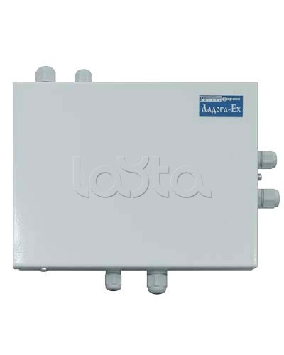 Блок расширения шлейфов сигнализации Риэлта БРШС-Ex в Йошкар-Оле Системы охраны взрывоопасных объектов Pintop.ru